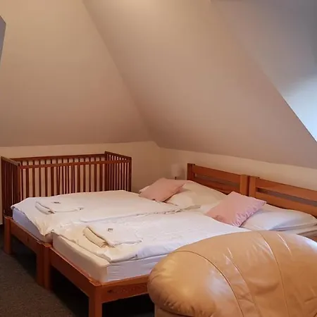 Penzión pre hostí Vila Jedla *
