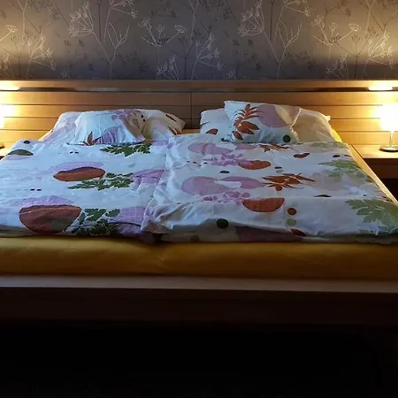 Penzión pre hostí Vila Jedla *